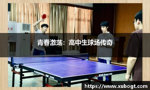 青春激荡：高中生球场传奇